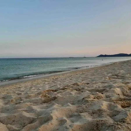 Privato Agavi -costa Rei