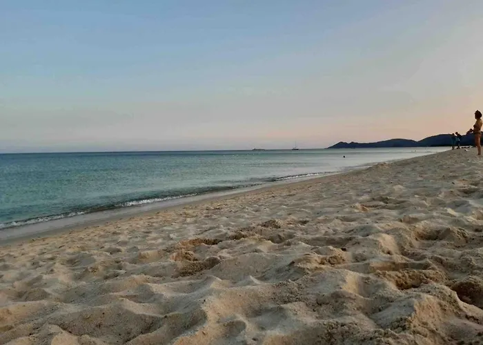 Privato Agavi -costa Rei